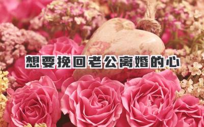 想要挽回老公离婚的心