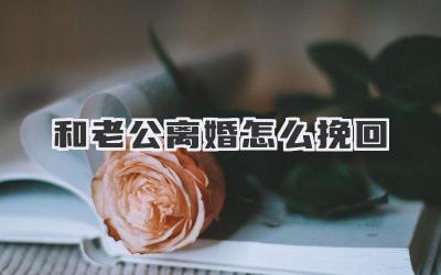 和老公离婚怎么挽回