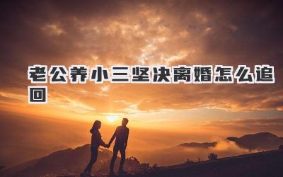 老公养小三坚决离婚怎么追回