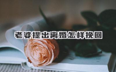 老婆提出离婚怎样挽回