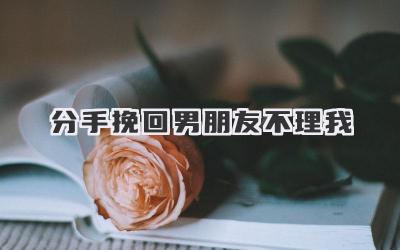 分手挽回男朋友不理我