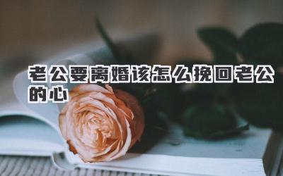 老公要离婚该怎么挽回老公的心