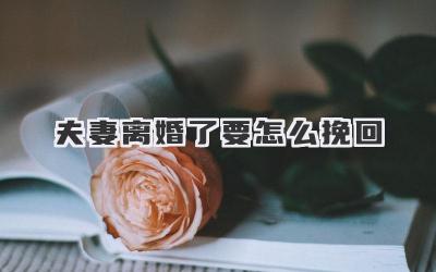 夫妻离婚了要怎么挽回