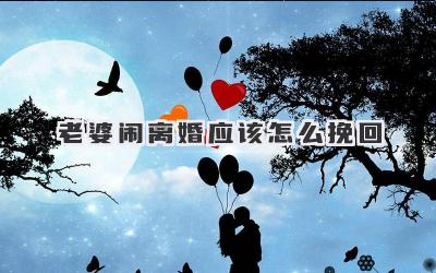 老婆闹离婚应该怎么挽回