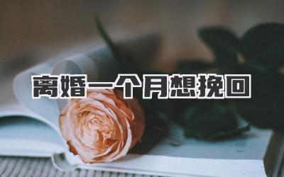 离婚一个月想挽回